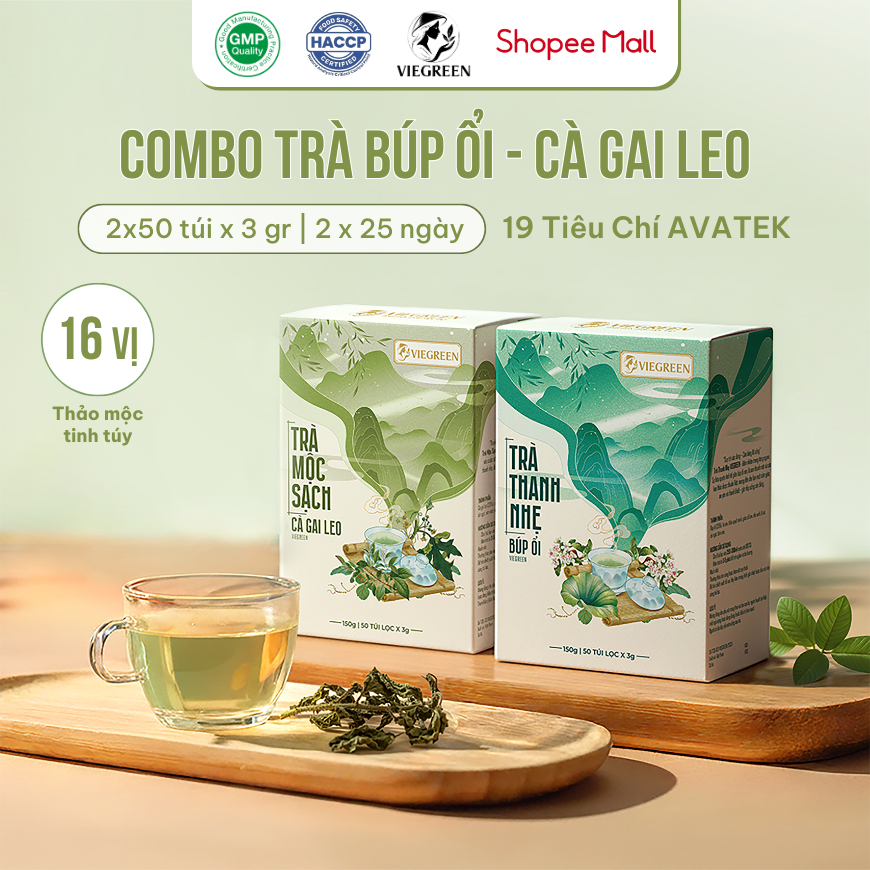 Combo 2 Trà Túi Lọc Búp Ổi + Cà Gai Leo VIEGREEN 50x3g + 50x3g, GMP HACCP