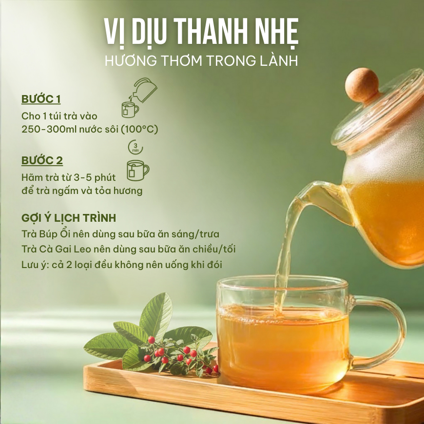 Combo 2 Trà Túi Lọc Búp Ổi + Cà Gai Leo VIEGREEN 50x3g + 50x3g, GMP HACCP