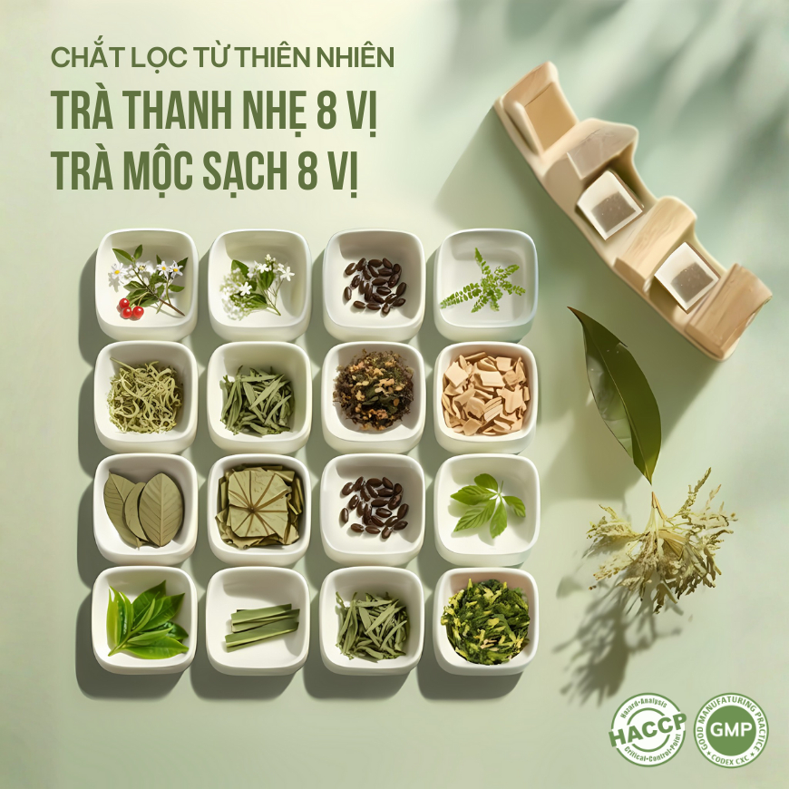 Combo 2 Trà Túi Lọc Búp Ổi + Cà Gai Leo VIEGREEN 50x3g + 50x3g, GMP HACCP