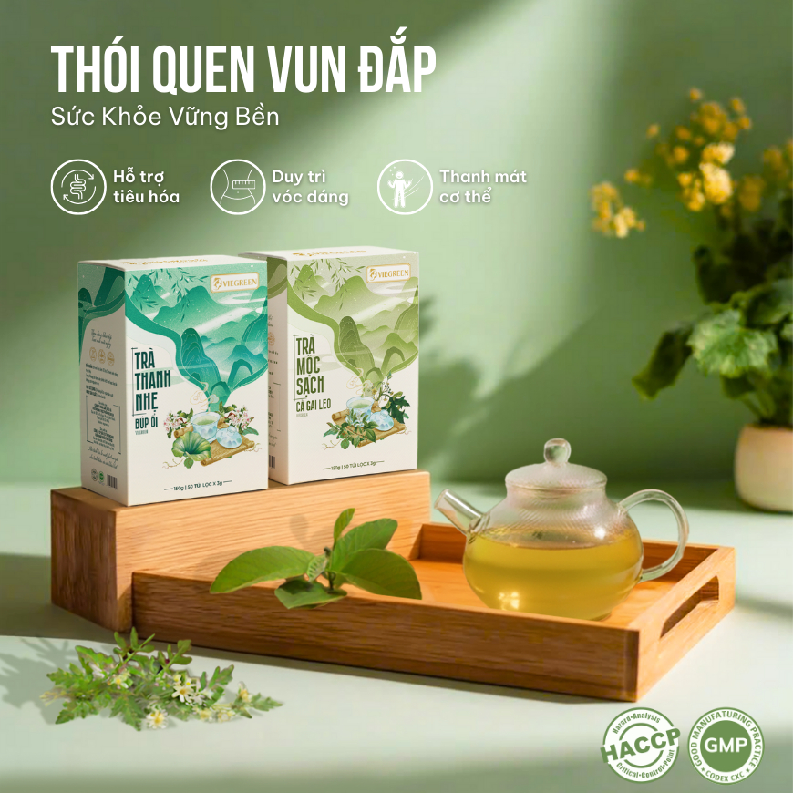 Combo 2 Trà Túi Lọc Búp Ổi + Cà Gai Leo VIEGREEN 50x3g + 50x3g, GMP HACCP