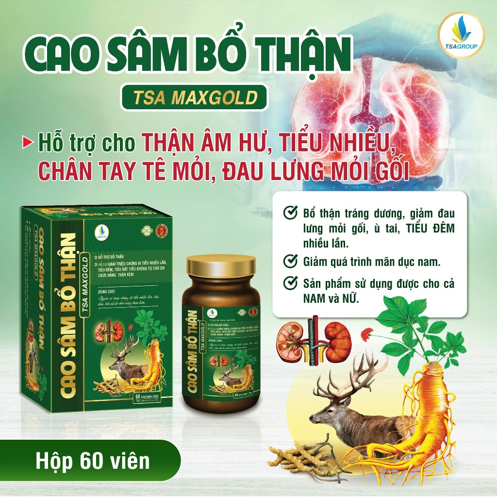 CAO SÂM BỔ THẬN TSA MAX GOLD 60 viên - Hỗ trợ bổ thận, thận âm hư, tiểu nhiều, chân tay tê mỏi, đau lưng mỏi gối