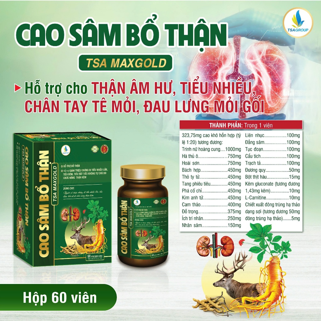 CAO SÂM BỔ THẬN TSA MAX GOLD 60 viên - Hỗ trợ bổ thận, thận âm hư, tiểu nhiều, chân tay tê mỏi, đau lưng mỏi gối