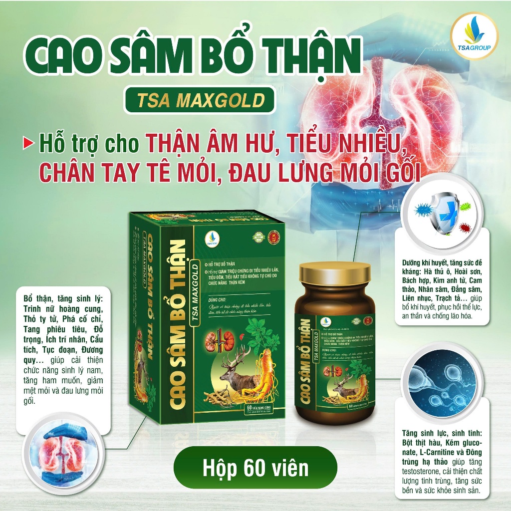 CAO SÂM BỔ THẬN TSA MAX GOLD 60 viên - Hỗ trợ bổ thận, thận âm hư, tiểu nhiều, chân tay tê mỏi, đau lưng mỏi gối
