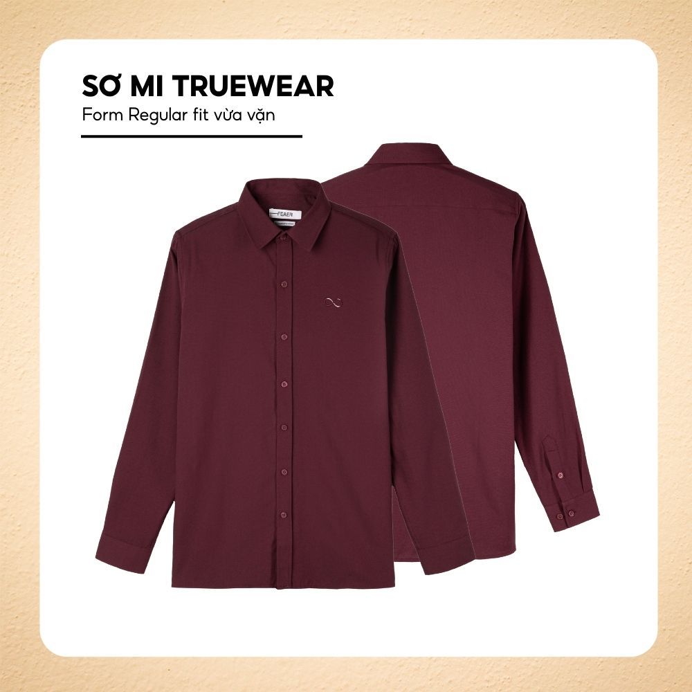 Áo sơ mi nam Truewear tay dài, cổ bẻ, vải Oxford dày dặn, form Regular Fit, logo thêu,thanh lịch-FEAER