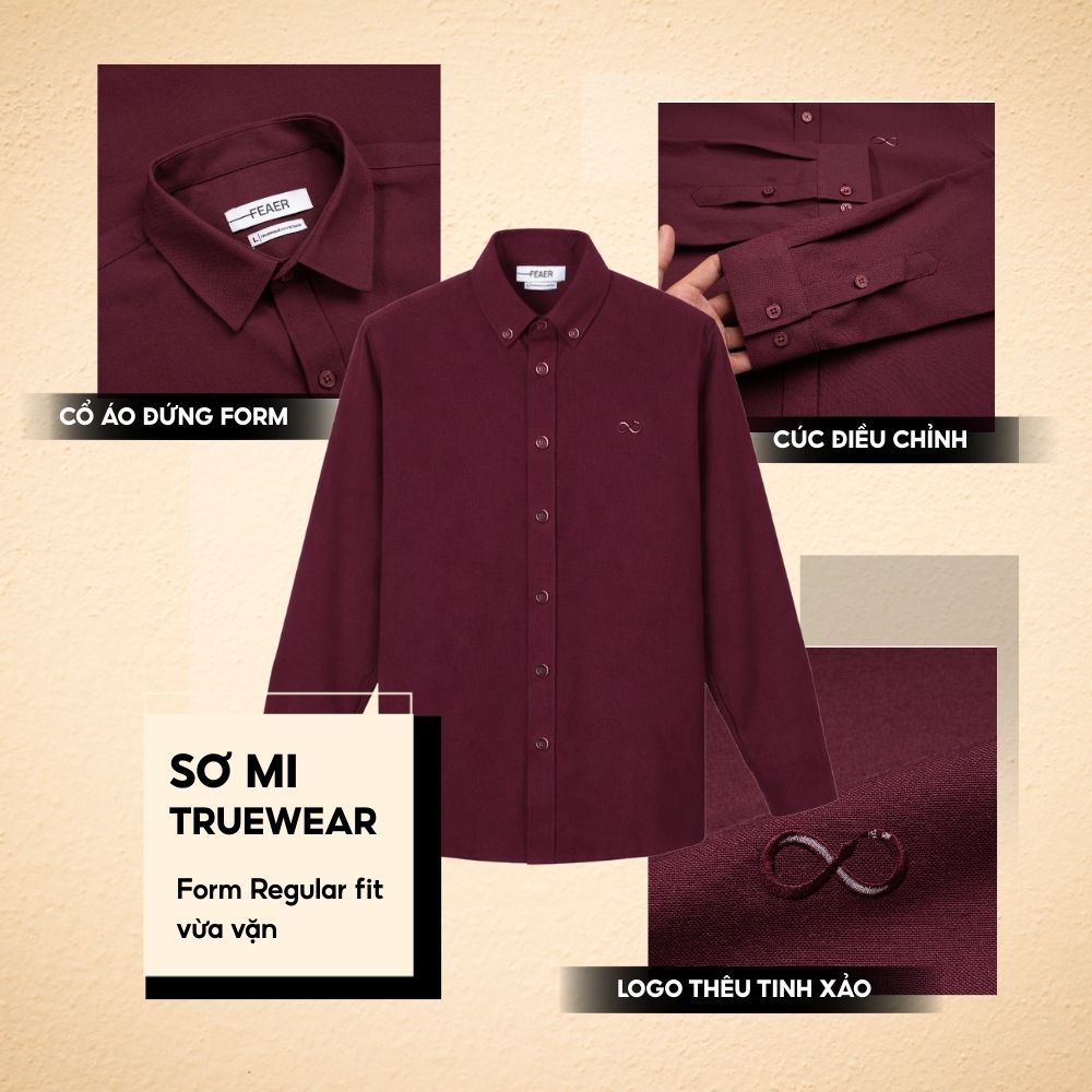 Áo sơ mi nam Truewear tay dài, cổ bẻ, vải Oxford dày dặn, form Regular Fit, logo thêu,thanh lịch-FEAER