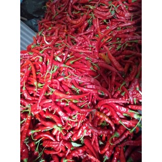1kg Ớt Bột Siêu Cay ( Ớt Cánh ) loại đặc biệt nguyên chất nhà làm dùng làm sa tế - Đặc Sản Huế
