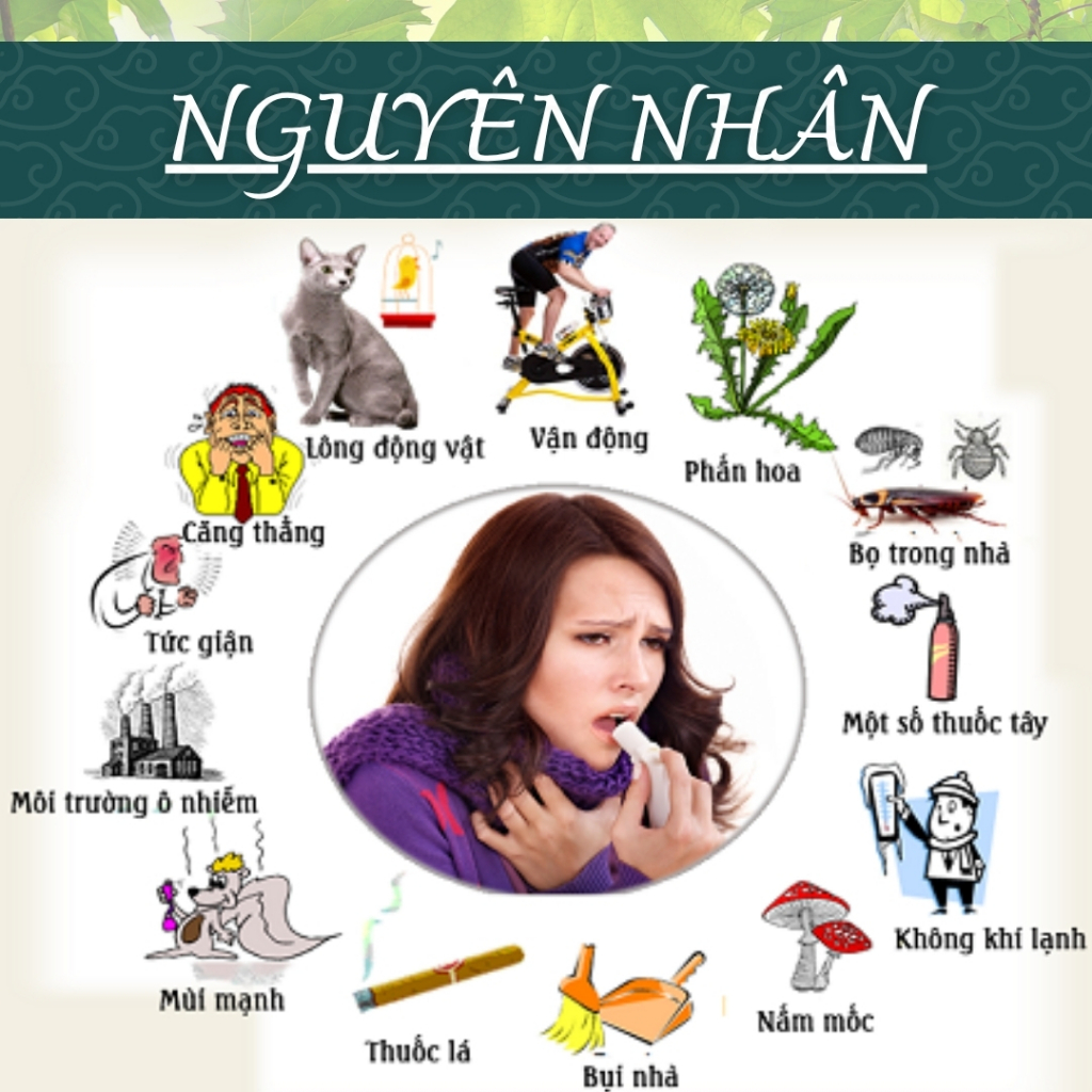 Trà Túi Lọc Dòi Thân Tím - Hòa Bình Organic - Thanh lọc, sạch phổi, hỗ trợ đường hô hấp.