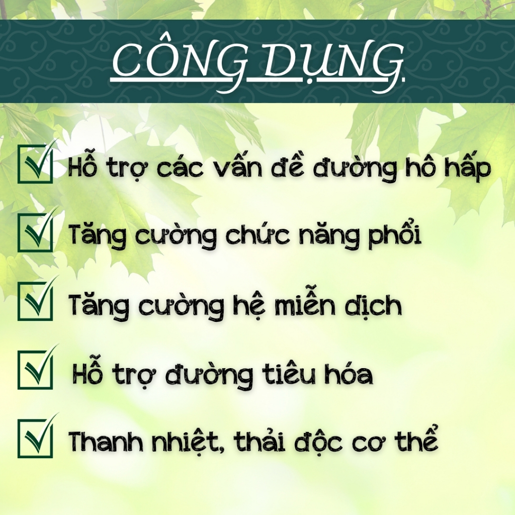 Trà Túi Lọc Dòi Thân Tím - Hòa Bình Organic - Thanh lọc, sạch phổi, hỗ trợ đường hô hấp.