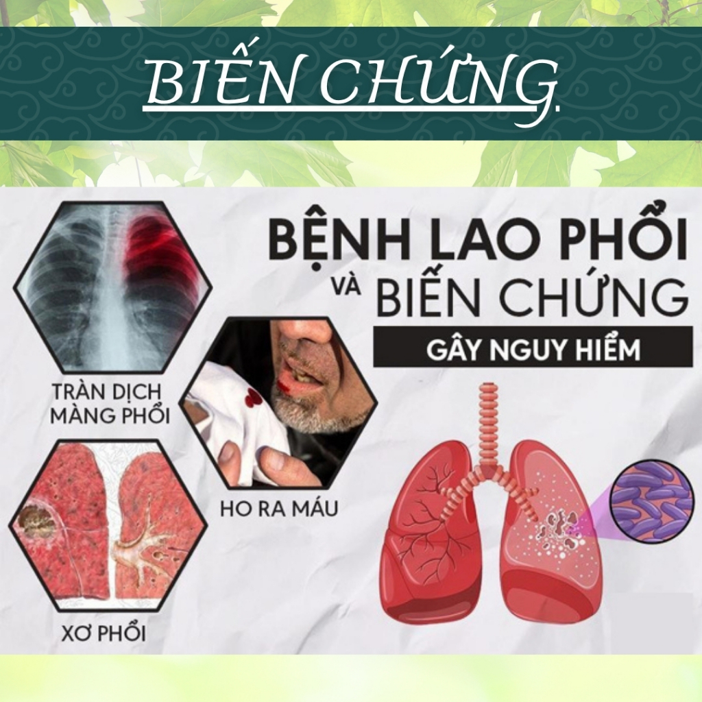 Trà Túi Lọc Dòi Thân Tím - Hòa Bình Organic - Thanh lọc, sạch phổi, hỗ trợ đường hô hấp.