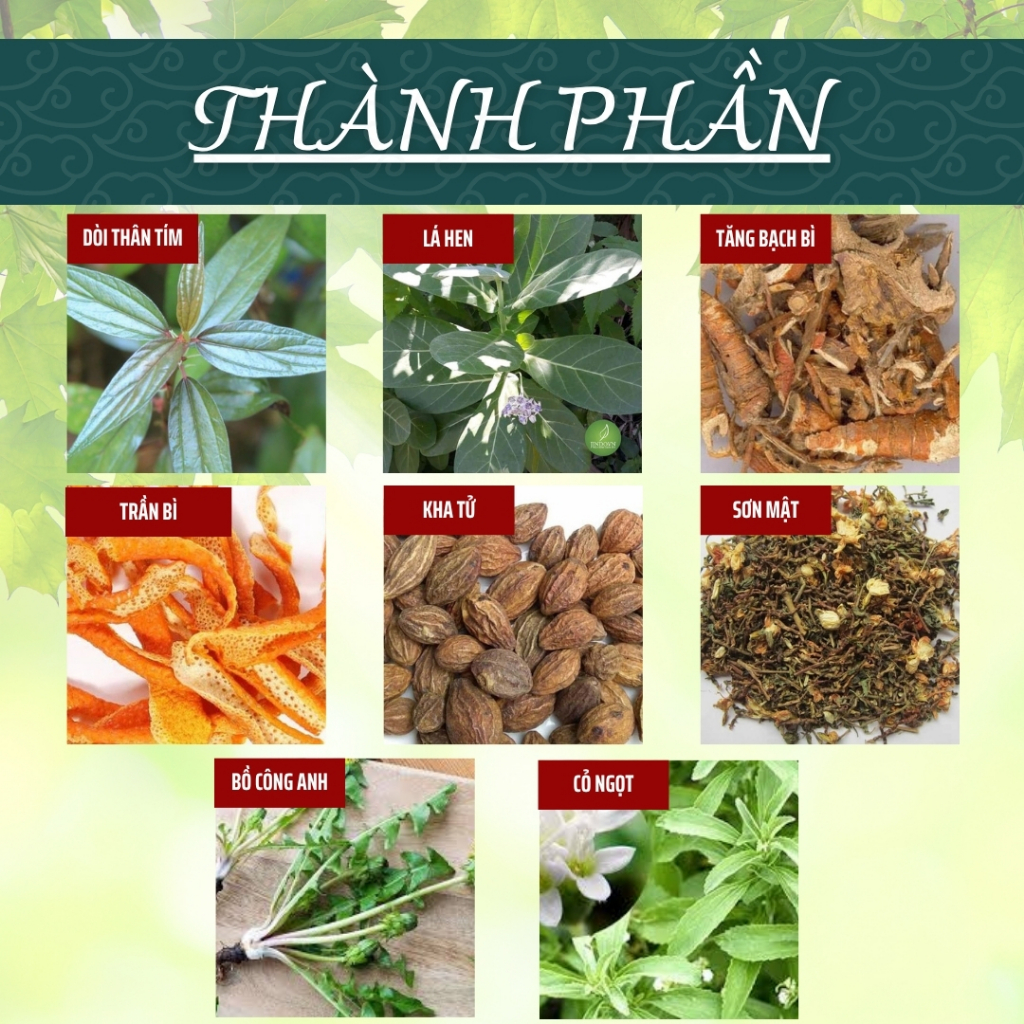 Trà Túi Lọc Dòi Thân Tím - Hòa Bình Organic - Thanh lọc, sạch phổi, hỗ trợ đường hô hấp.