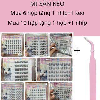 Lông Mi giả tự đính không cần dùng keo- Tái sử dụng nhiều lần( Ảnh Shop tự chụp)