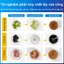 Thông tắc bồn cầu, bồn rửa và cống rãnh nhanh chóng và hiệu quả. 260g