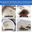 Thông tắc bồn cầu, bồn rửa và cống rãnh nhanh chóng và hiệu quả. 260g