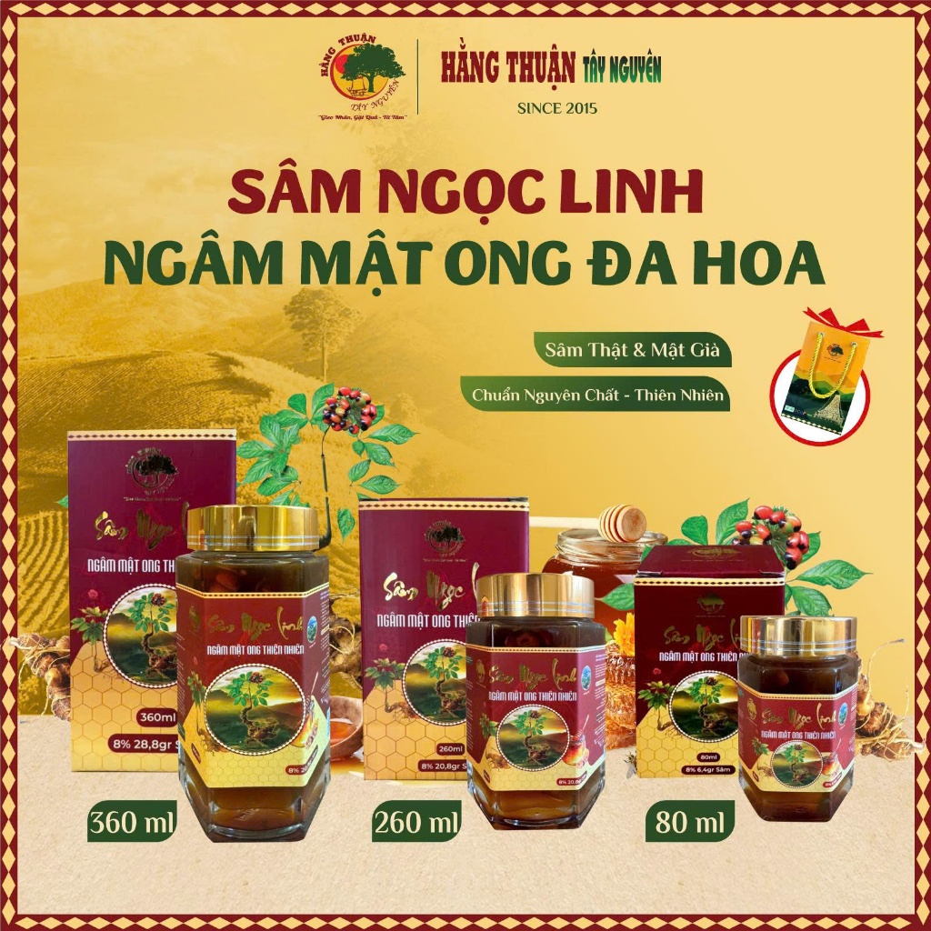 Sâm Ngọc Linh Ngâm Mật Ong Rừng Hằng Thuận Tây Nguyên