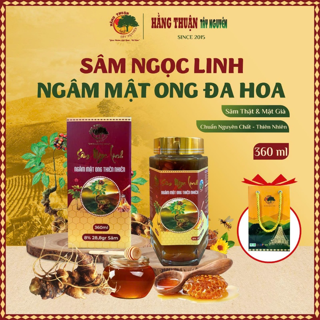 Sâm Ngọc Linh Ngâm Mật Ong Rừng Hằng Thuận Tây Nguyên