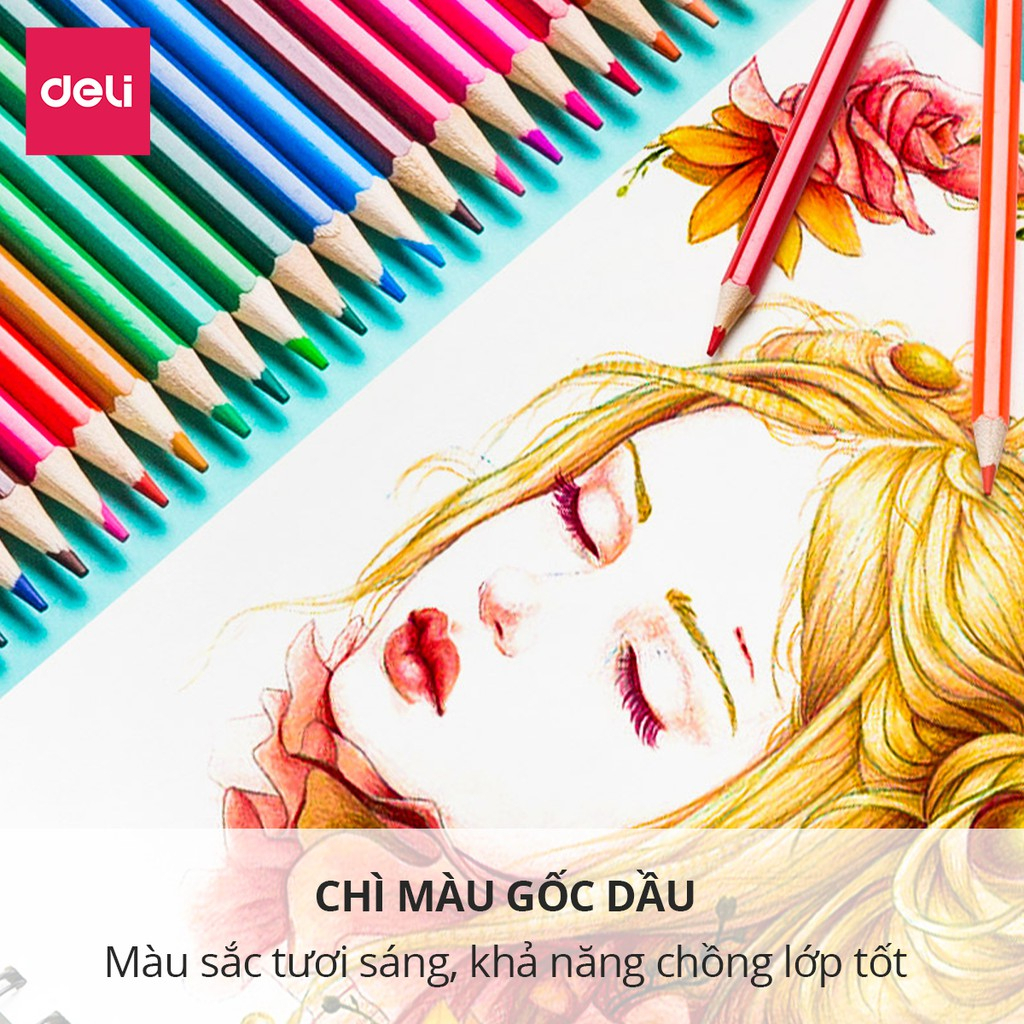 [Deli] Bút Chì Màu Gốc Dầu & Xóa Được – Bộ 12/24/36/48 Màu, Lõi Chì Dày, Màu Tươi, Tặng Gọt Bút