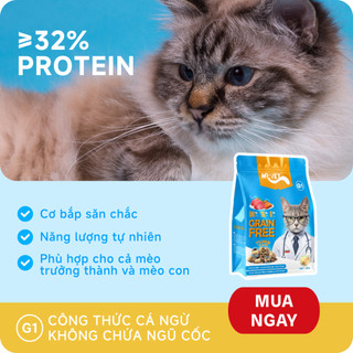 Thức ăn cho mèo MRVET COMBO BÙNG NỔ VỊ GIÁC thúc đẩy tiêu hóa, bảo vệ tiết niệu cho mèo mọi lứa tuổi