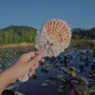 Gương Cầm tay gắn vỏ xò [ loại lớn]