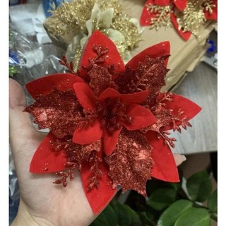 Hoa Trạng Nguyên Trang Trí Tháp Bánh, Tháp Nước Ngọt, Giỏ Quà Tết  Màu Sắc Đa Dạng