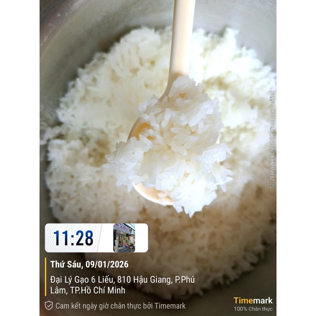 10kg Thơm Lài Campuchia ( mới ) lúa 6 tháng - dẻo mềm, ngọt cơm, thơm - không chất bảo quản, không chất chống mọt