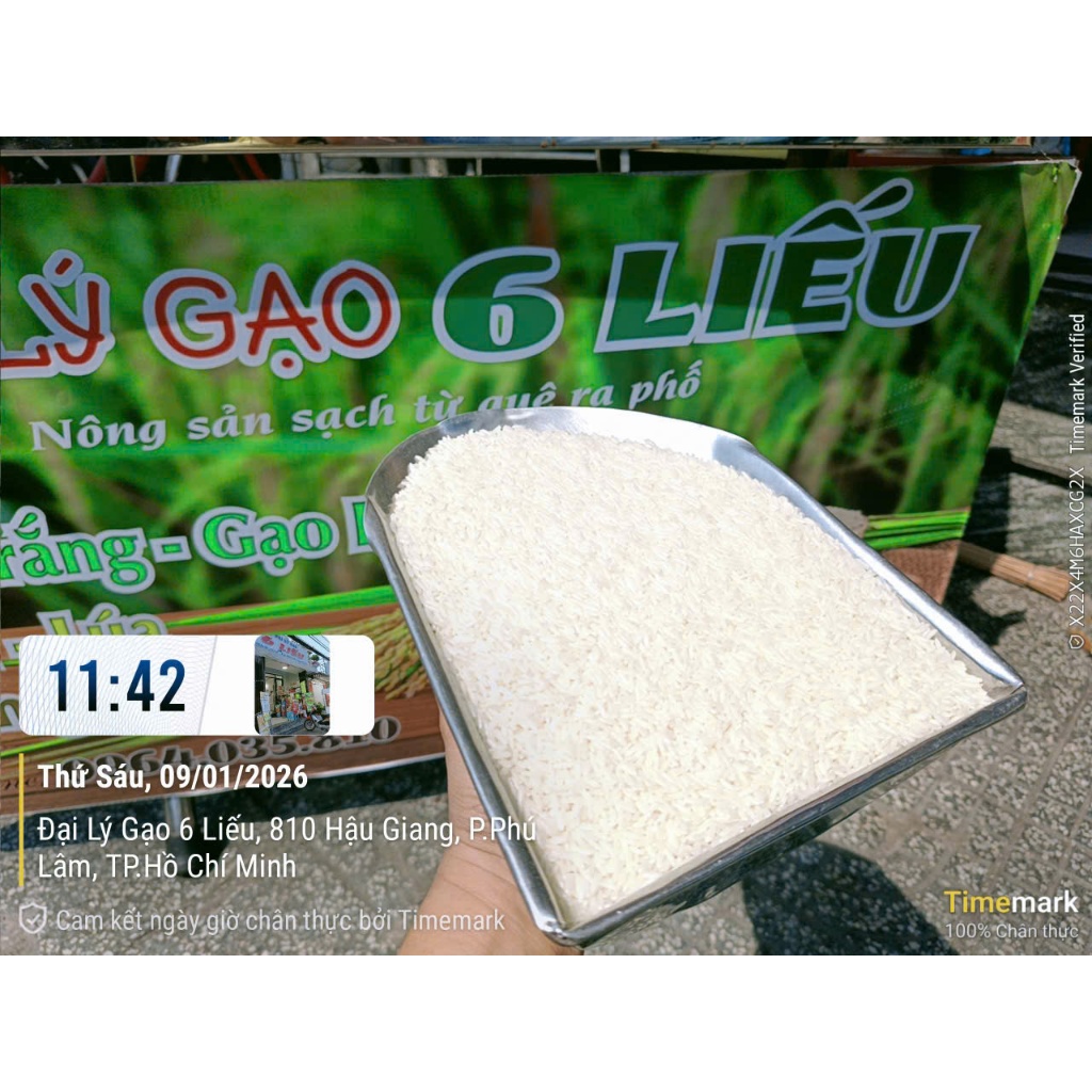 10kg Thơm Lài Campuchia ( mới ) lúa 6 tháng - dẻo mềm, ngọt cơm, thơm - không chất bảo quản, không chất chống mọt
