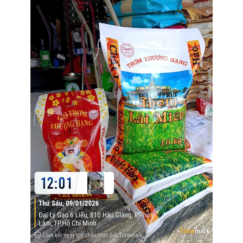 10kg Thơm Lài Campuchia ( mới ) lúa 6 tháng - dẻo mềm, ngọt cơm, thơm - không chất bảo quản, không chất chống mọt