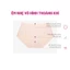 Combo pack 4 quần lót su nữ siêu mỏng không lộ viền đáy kháng khuẩn iBasic PA4PANW157