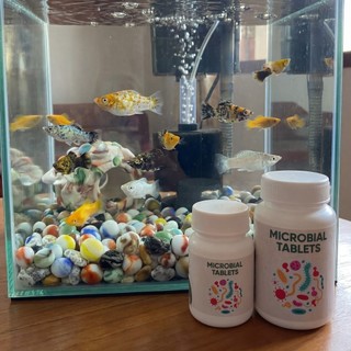 Microbial Tablets - Viên Nén Lọc Nước Bể Cá Giúp Làm Trong Và Tinh Lọc Nước