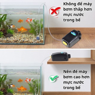 [Chính Hãng] Máy Sủi Oxy Hồ Cá 2 Vòi SB-738 & 1 Vòi SB-718 Sủi Mạnh Bền Bỉ Không Gây Tiếng Ồn