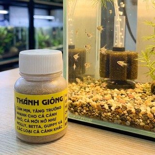 Thức Ăn Cho Cá Con Và Cá Bé Mới Nở - Đạm Cao Giữ Số Lượng Cá Tốt