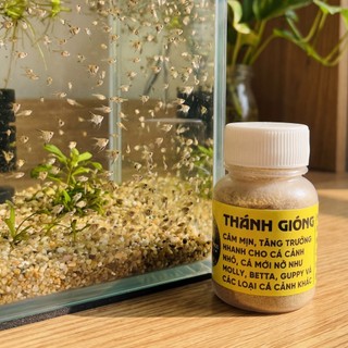 Thức Ăn Cho Cá Con Và Cá Bé Mới Nở - Đạm Cao Giữ Số Lượng Cá Tốt