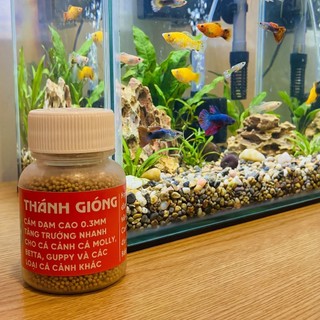 Cám Thánh Gióng Hủ 30g Đạm Cao Viên Nổi Hạt Siêu Siêu Siêu Nhỏ Thức Ăn Cho Cá Betta Guppy Molly