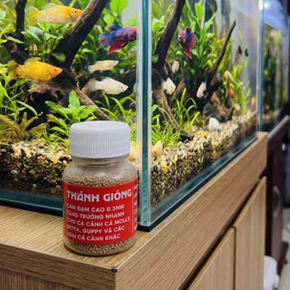 Cám Thánh Gióng Hủ 30g Đạm Cao Viên Nổi Hạt Siêu Siêu Siêu Nhỏ Thức Ăn Cho Cá Betta Guppy Molly
