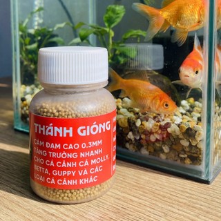 Cám Thánh Gióng Hủ 30g Đạm Cao Viên Nổi Hạt Siêu Siêu Siêu Nhỏ Thức Ăn Cho Cá Betta Guppy Molly