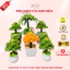 Charm Thỏi Vàng, Charm Đồng Tiền, Hạt Gạo, Viên Vàng KL Dùng Trang Trí Cây Kim Tiền, Trang trí Tết