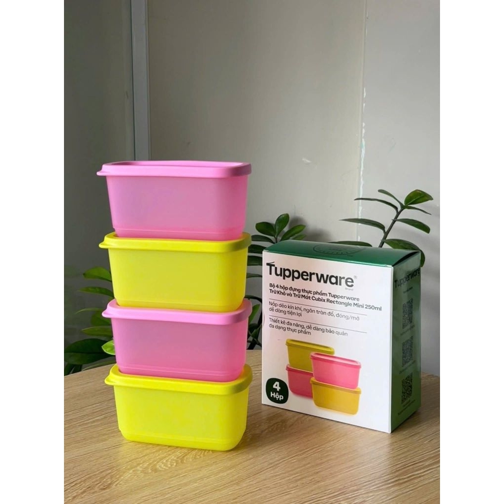 Hộp mini cubix rectangular 250ml Tupperware | Shopee Việt Nam