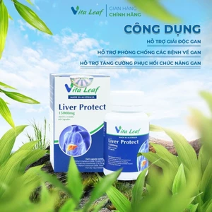 Liver protect chức năng gan bảo vệ gan