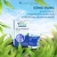 Liver protect chức năng gan bảo vệ gan