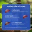 Liver protect chức năng gan bảo vệ gan