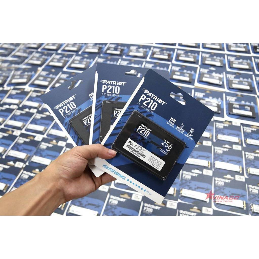 Ổ cứng SSD PATRIOT P210 128GB/256GB/512GB SATA III Chính Hãng | BH 36TH | BigBuy360 - bigbuy360.vn