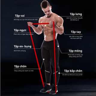 Dây kháng lực POWERBAND hỗ trợ tập Gym, Yoga, tăng cơ, giảm mỡ, đủ mức kháng lực