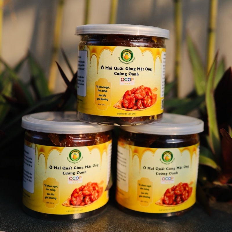 Ô Mai Quất Gừng Mật Ong Cường Oanh - Sản Phẩm Từ Quất Tươi ViepGap & Mật Ong Núi Đá Ocop 3 Sao