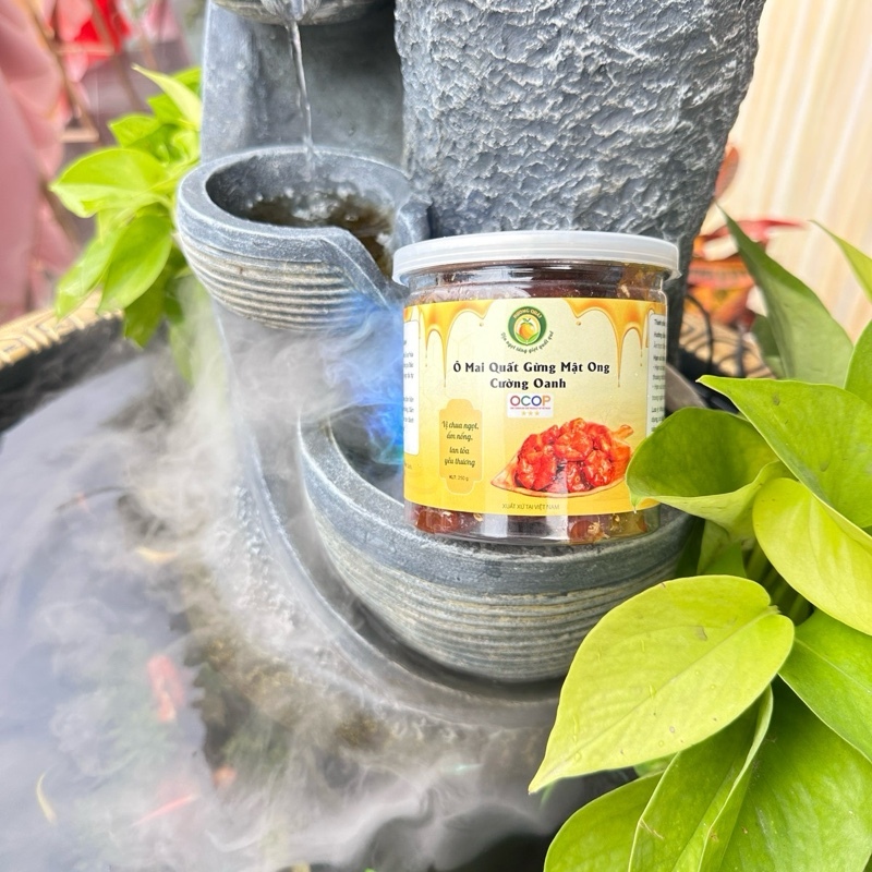Ô Mai Quất Gừng Mật Ong Cường Oanh - Sản Phẩm Từ Quất Tươi ViepGap & Mật Ong Núi Đá Ocop 3 Sao