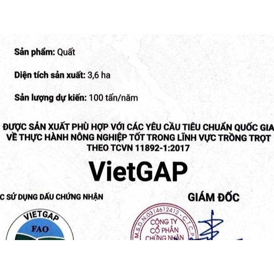 Ô Mai Quất Gừng Mật Ong Cường Oanh - Sản Phẩm Từ Quất Tươi ViepGap & Mật Ong Núi Đá Ocop 3 Sao