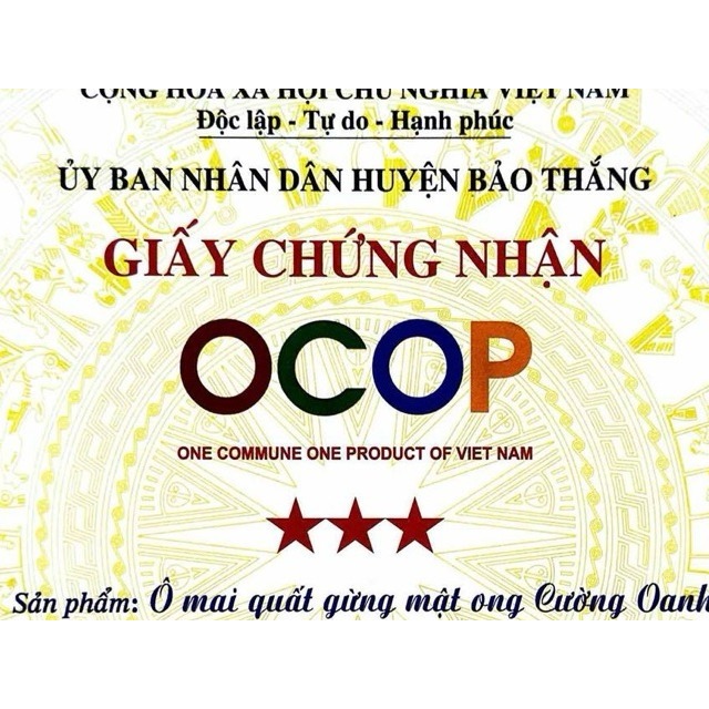 Ô Mai Quất Gừng Mật Ong Cường Oanh - Sản Phẩm Từ Quất Tươi ViepGap & Mật Ong Núi Đá Ocop 3 Sao