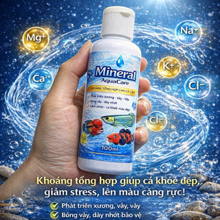 Khoáng Tổng Hợp Cho Cá Cảnh Mineral AquaCare 100ml – Bổ Sung Ca Mg K Na – Giúp Cá Khỏe, Bóng Vảy, Lên Màu Đẹp
