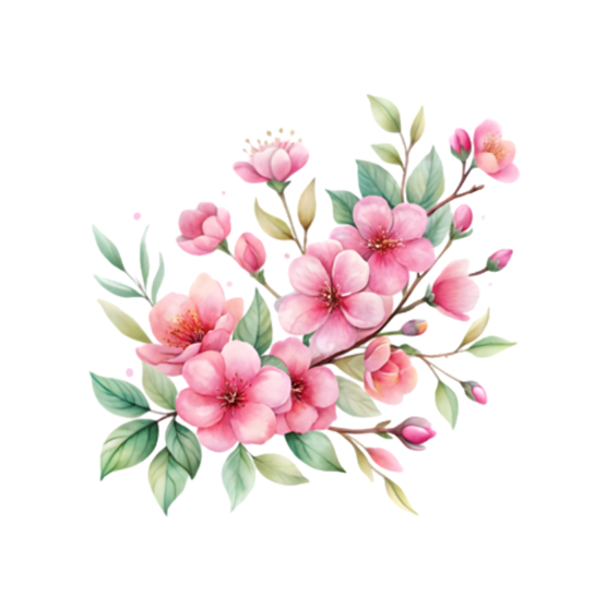 Hình in pet ủi nhiệt quần áo mẫu HOA ĐÀO MÙA XUÂN ủi tại nhà bằng bàn ủi khô,nhiều mẫu nhiều size