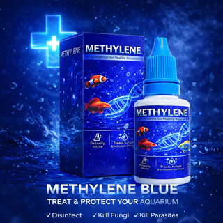 Methylene Blue Sát Khuẩn Hồ Cá – Diệt Nấm, Chống Nhiễm Khuẩn, Bảo Vệ Cá & Trứng Cá
