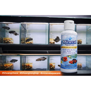 Khoáng Tổng Hợp Cho Cá Cảnh Mineral AquaCare 100ml – Bổ Sung Ca Mg K Na – Giúp Cá Khỏe, Bóng Vảy, Lên Màu Đẹp