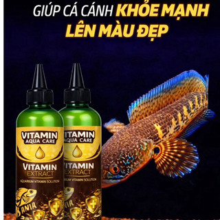 Vitamin Cho Cá Cảnh AQUA CARE – Giúp Cá Lên Màu Đẹp, Giảm Stress, Phục Hồi Nhanh – Chai 100ml